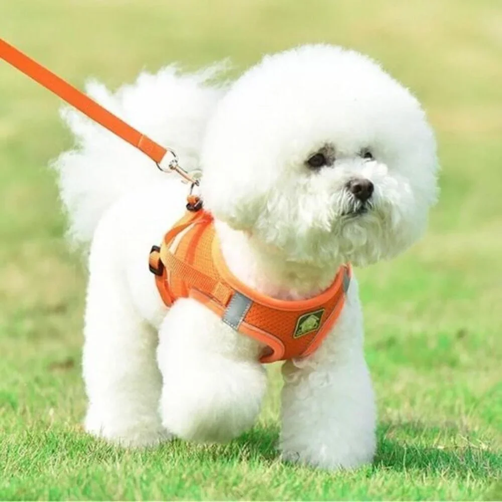 Reflective Dog Harness and Leash Set Neon OrangeNew